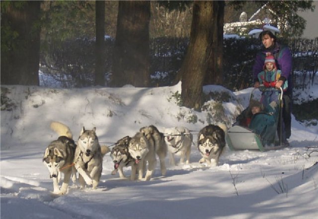 Rando - 13 Janvier 2010