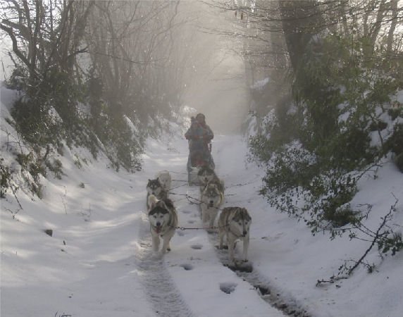 Rando - 13 Janvier 2010