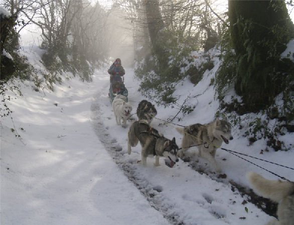 Rando - 13 Janvier 2010