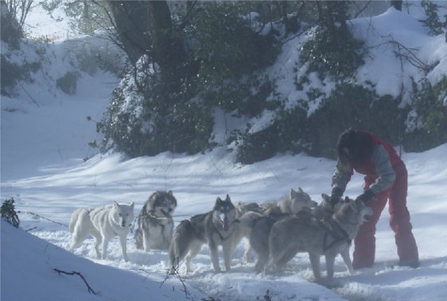 Rando - 13 Janvier 2010