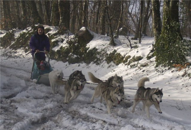 Rando - 13 Janvier 2010