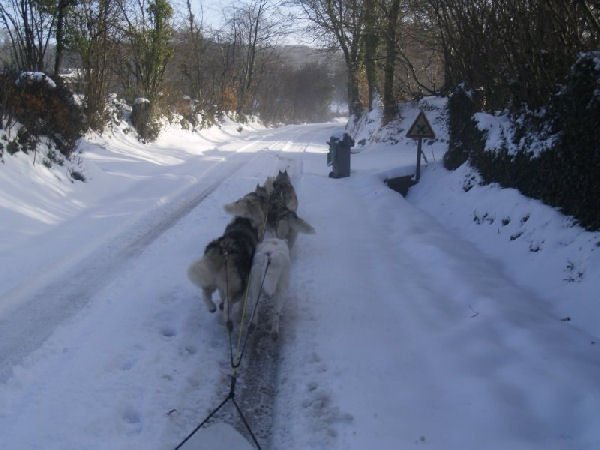 Rando - 13 Janvier 2010