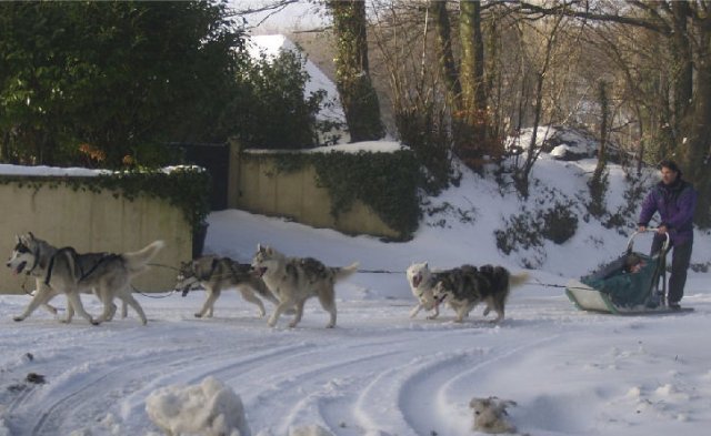 Rando - 13 Janvier 2010