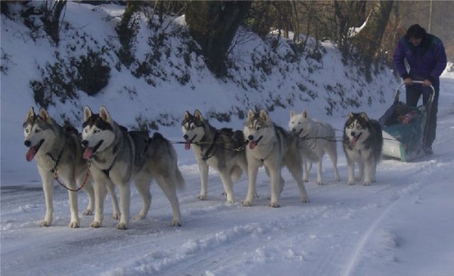 Rando - 13 Janvier 2010