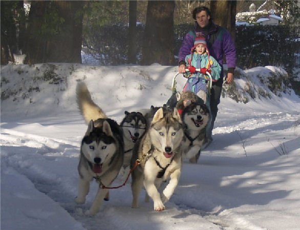 Rando - 13 Janvier 2010