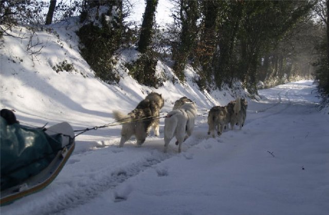 Rando - 13 Janvier 2010