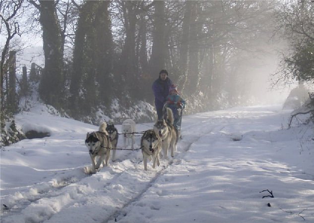 Rando - 13 Janvier 2010