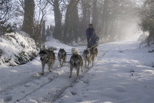Rando - 13 Janvier 2010