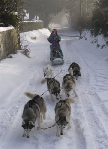 Rando - 13 Janvier 2010