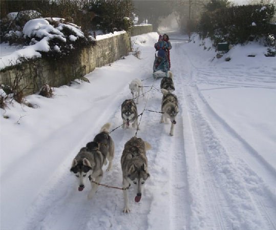 Rando - 13 Janvier 2010