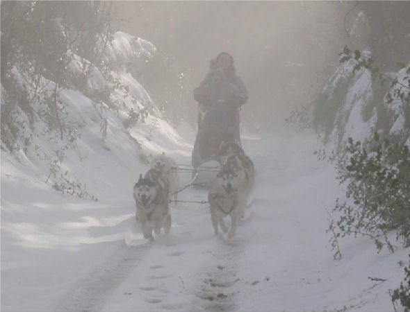 Rando - 13 Janvier 2010