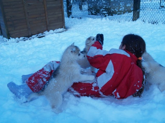 Rando - 18 au 20 décembre 2010