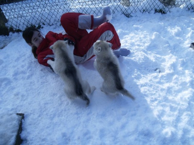 Rando - 18 au 20 décembre 2010