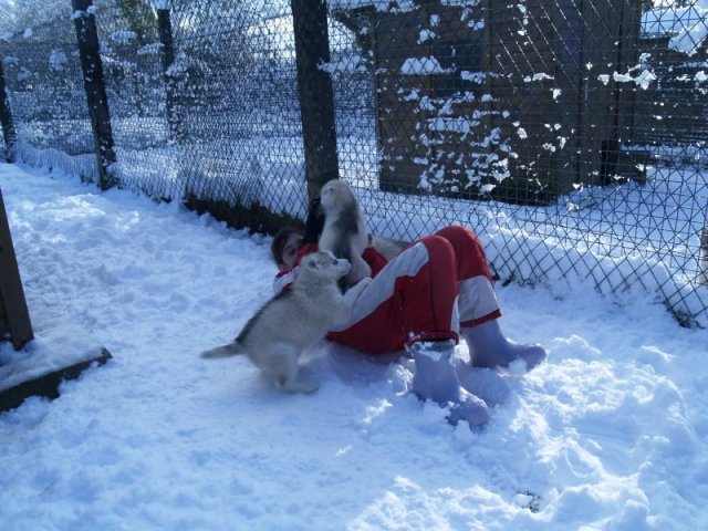 Rando - 18 au 20 décembre 2010