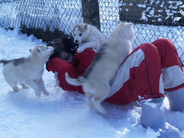 Rando - 18 au 20 décembre 2010