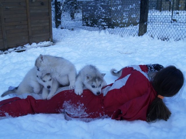 Rando - 18 au 20 décembre 2010