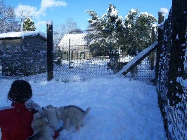 Rando - 18 au 20 décembre 2010