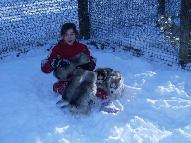 Rando - 18 au 20 décembre 2010