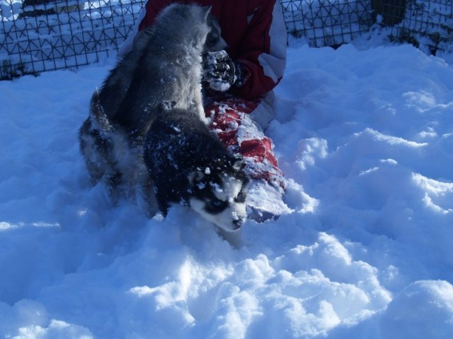 Rando - 18 au 20 décembre 2010