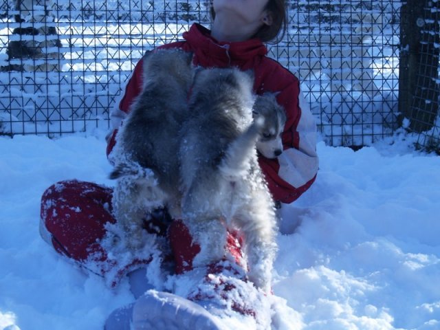 Rando - 18 au 20 décembre 2010