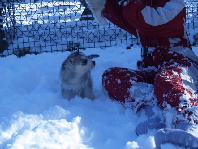 Rando - 18 au 20 décembre 2010