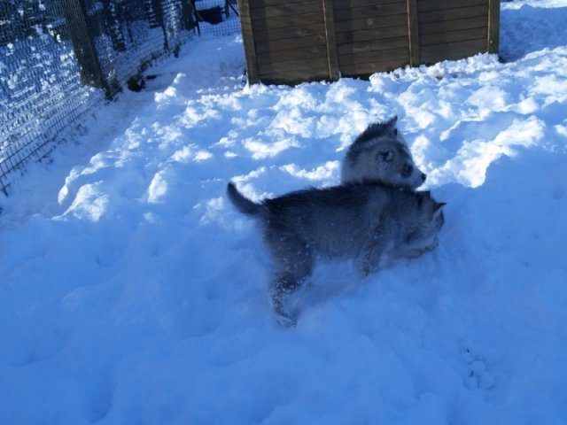 Rando - 18 au 20 décembre 2010