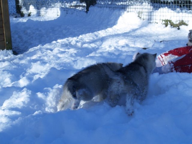 Rando - 18 au 20 décembre 2010