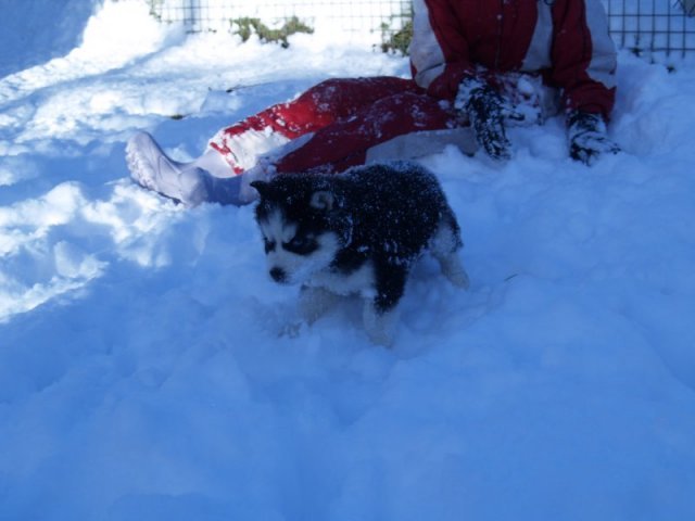 Rando - 18 au 20 décembre 2010