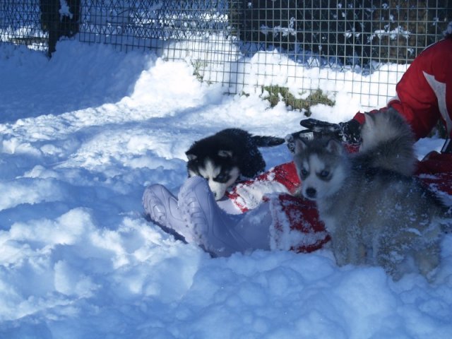 Rando - 18 au 20 décembre 2010