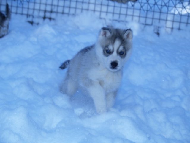 Rando - 18 au 20 décembre 2010