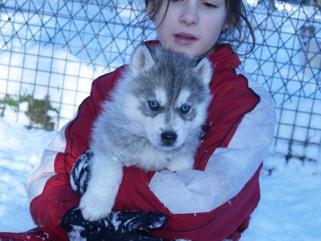 Rando - 18 au 20 décembre 2010
