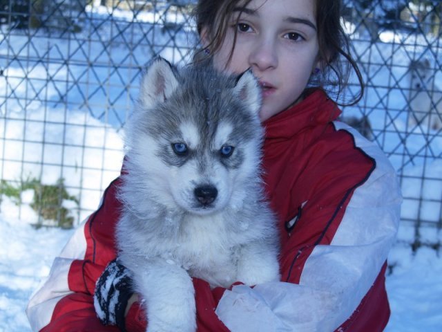 Rando - 18 au 20 décembre 2010