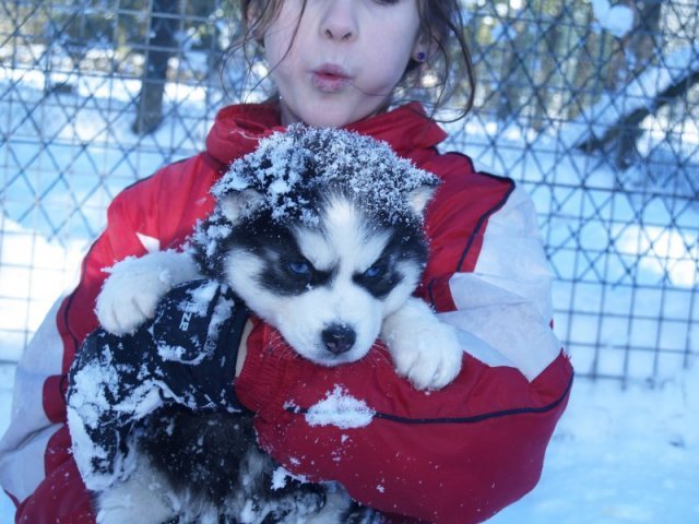 Rando - 18 au 20 décembre 2010
