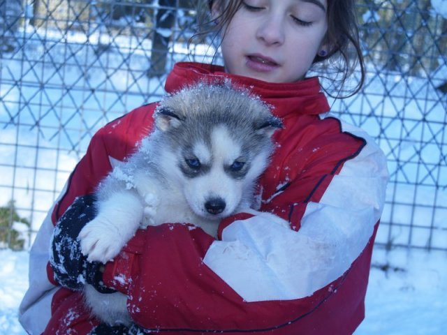Rando - 18 au 20 décembre 2010