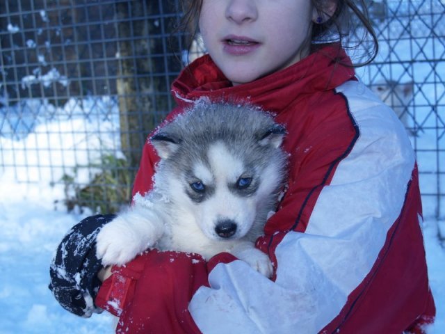 Rando - 18 au 20 décembre 2010