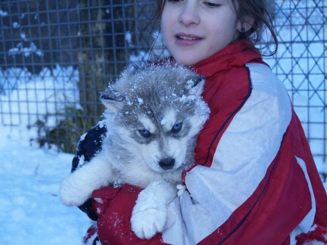 Rando - 18 au 20 décembre 2010