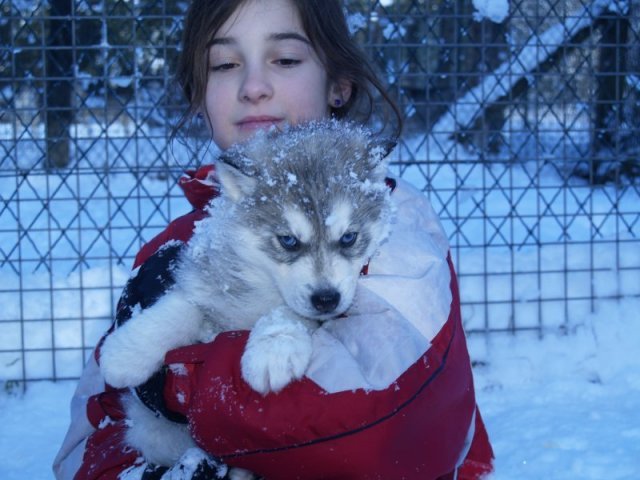 Rando - 18 au 20 décembre 2010