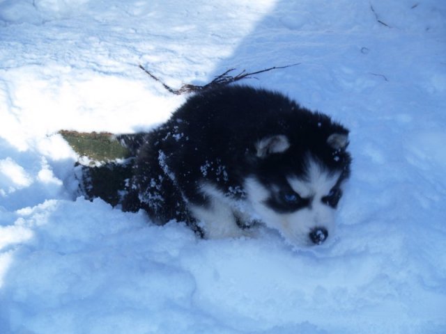 Rando - 18 au 20 décembre 2010