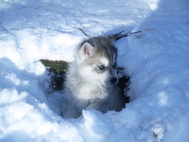 Rando - 18 au 20 décembre 2010