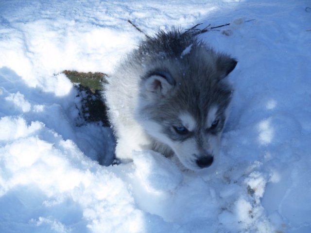 Rando - 18 au 20 décembre 2010