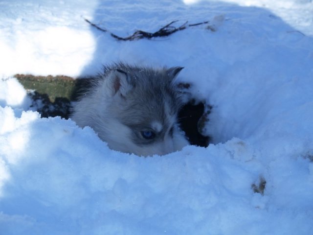 Rando - 18 au 20 décembre 2010