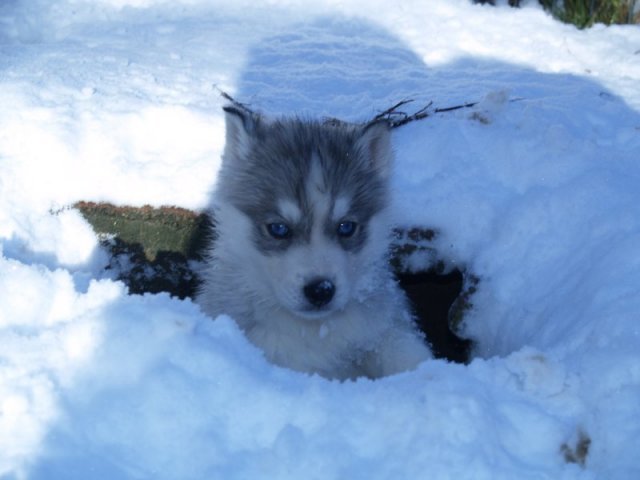 Rando - 18 au 20 décembre 2010