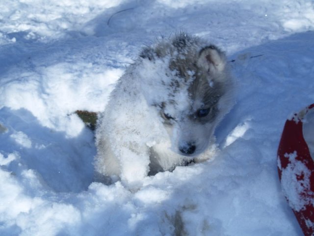 Rando - 18 au 20 décembre 2010