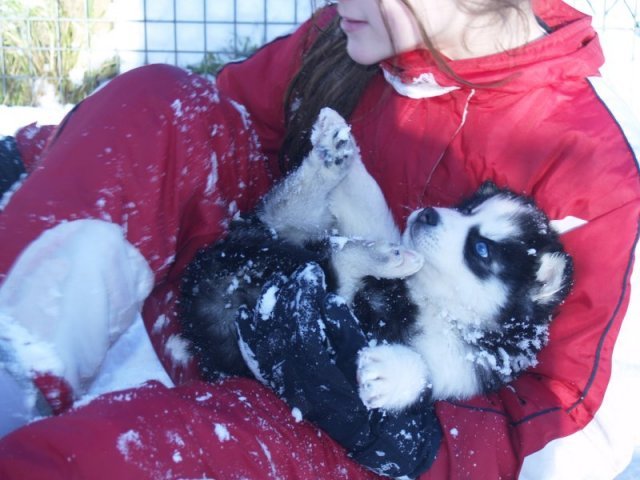 Rando - 18 au 20 décembre 2010