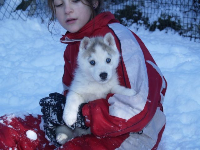 Rando - 18 au 20 décembre 2010