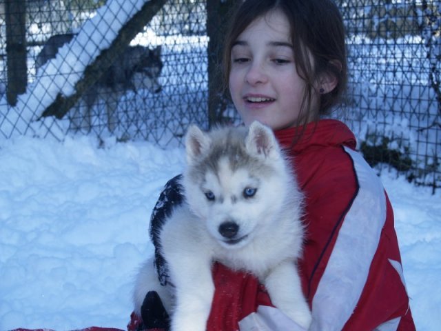 Rando - 18 au 20 décembre 2010