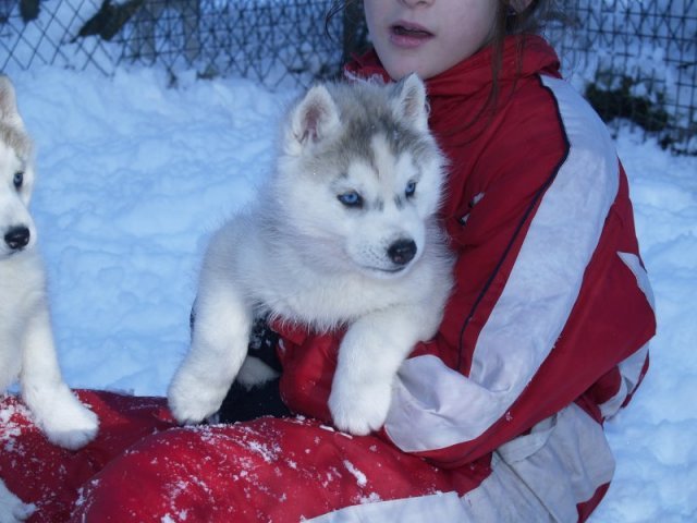 Rando - 18 au 20 décembre 2010
