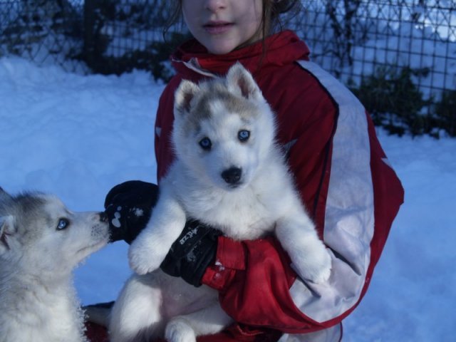 Rando - 18 au 20 décembre 2010