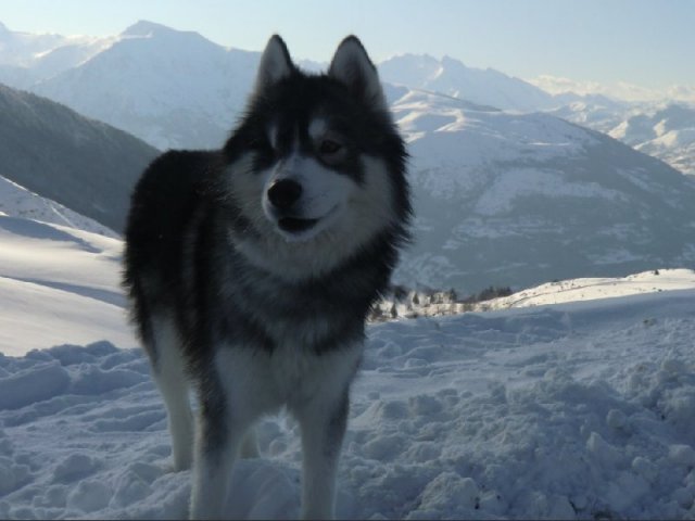 3 Liubov's dans les Hautes-Pyrénées.