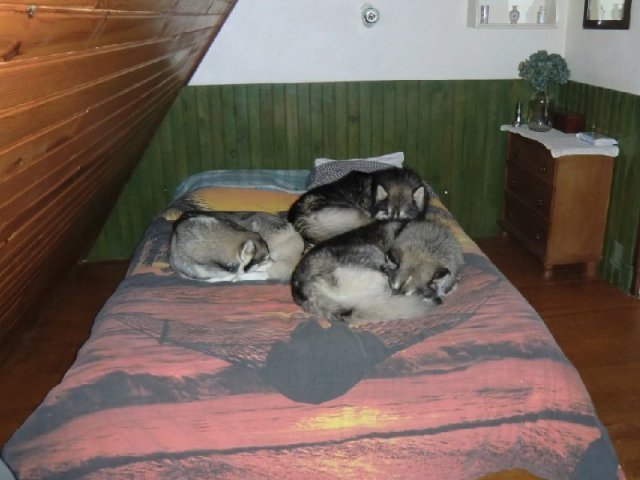 3 Liubov's dans les Hautes-Pyrénées.